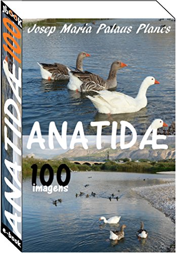 Livro PDF Anatidæ (100 imagens)