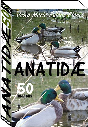 Livro PDF Anatidæ (50 imagens)