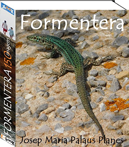 Livro PDF Formentera (150 imagens)